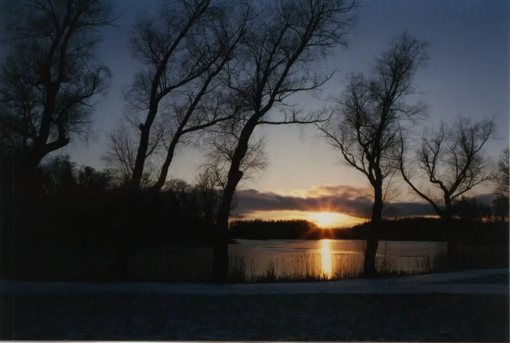 Pühajärve lake 3, in December 3.00 pm