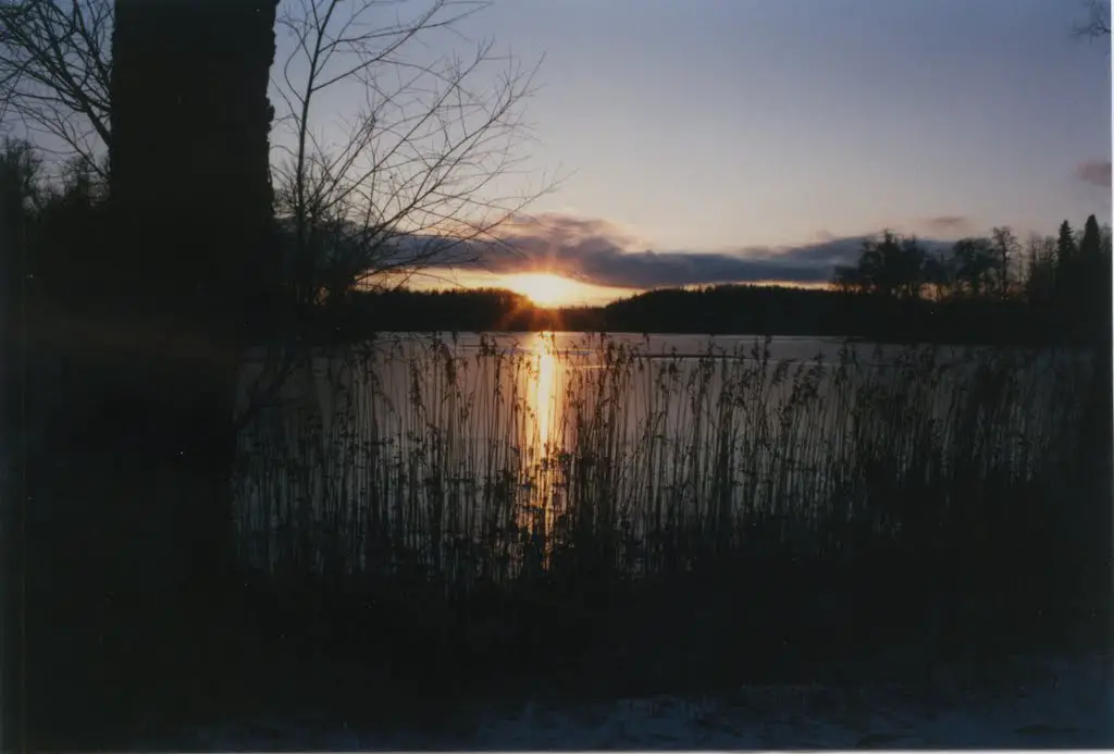 Pühajärve lake 4, in December 3.00 pm