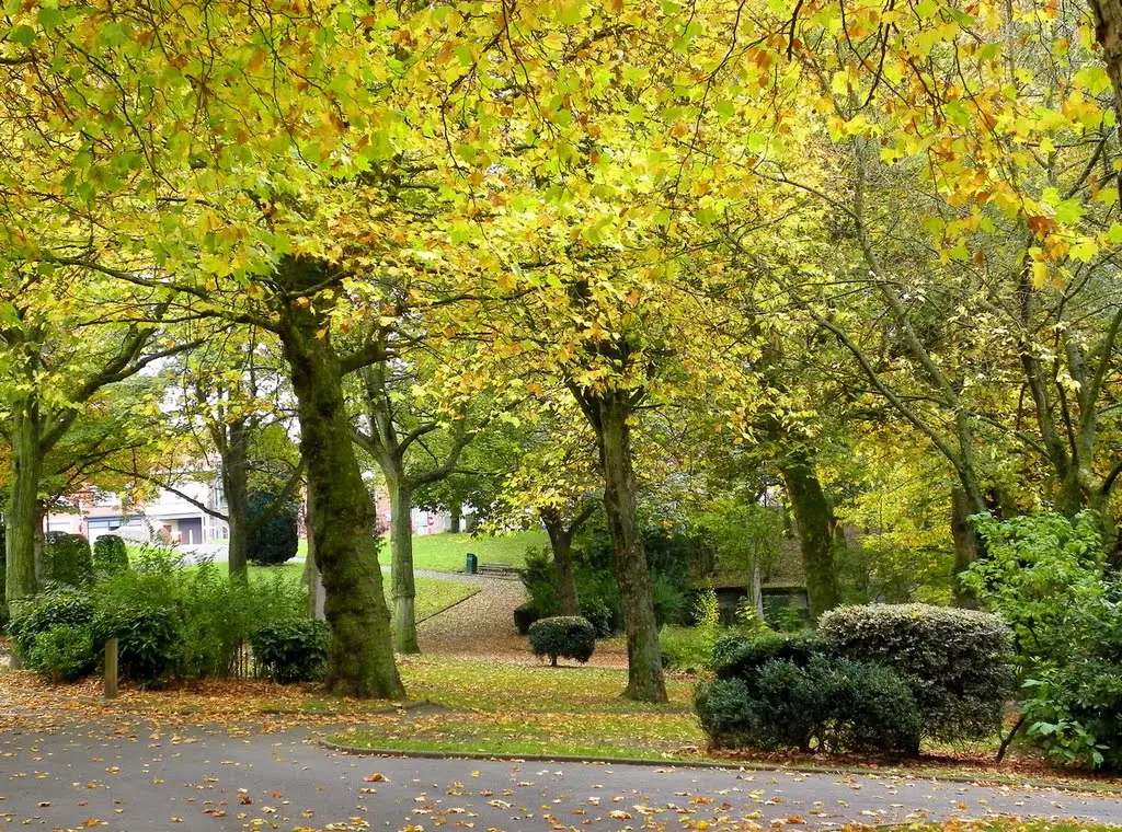Mouscron - Parc municipal - Couleur d'automne