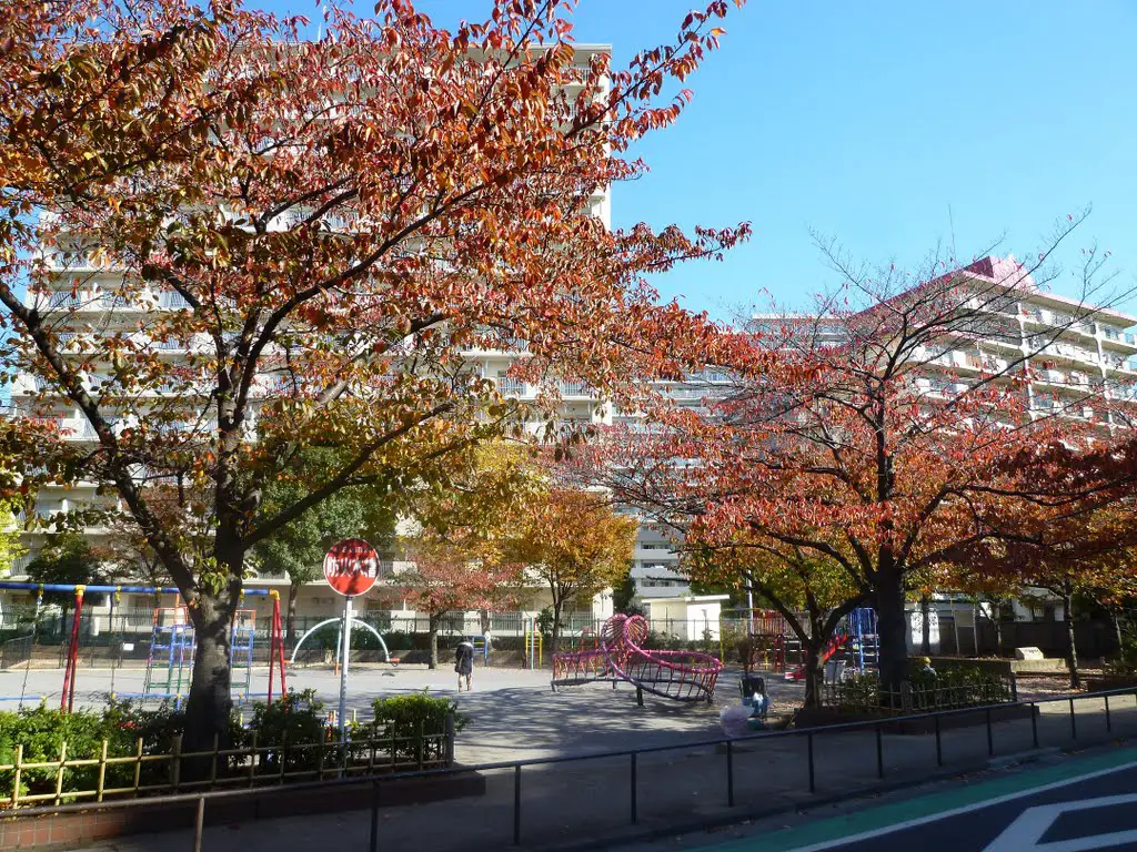 秋の梅田亀田公園 (東京都足立区) (Autumn leaves in Umeda-Kameda Park in Adachi Ward, Tokyo, Japan)