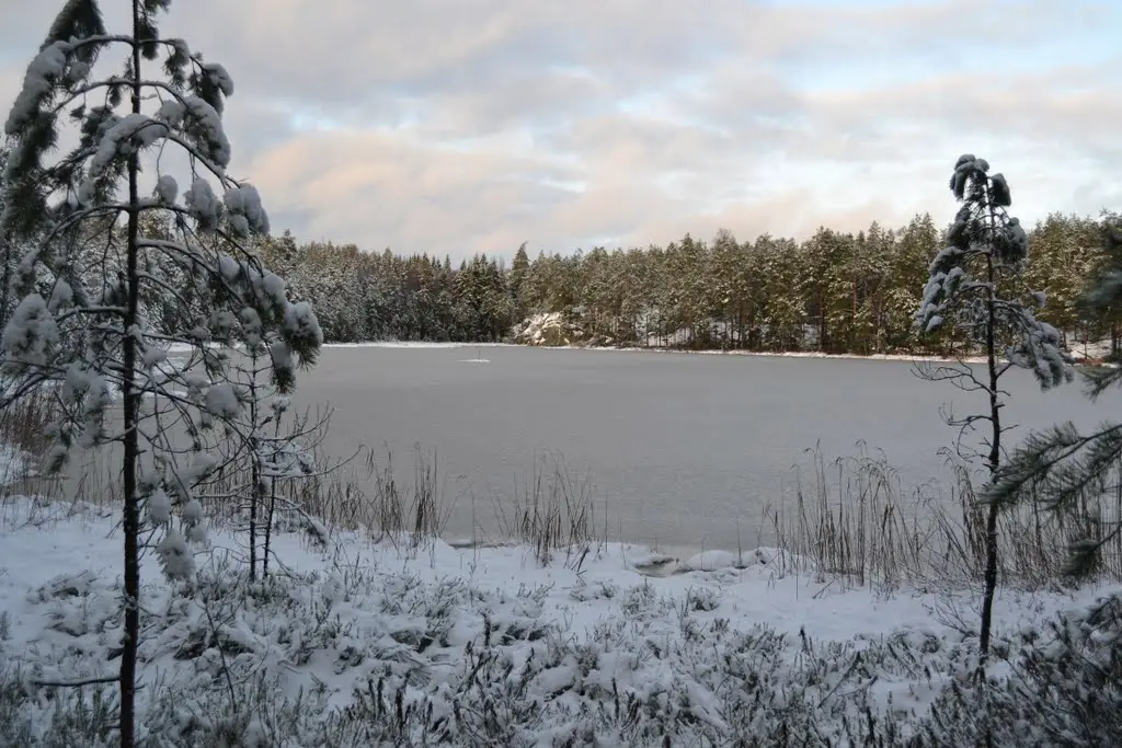 A view north to Lake Iso Romlampi, the day after the first snowfall (Nuuksio national park, Espoo, 20111206)