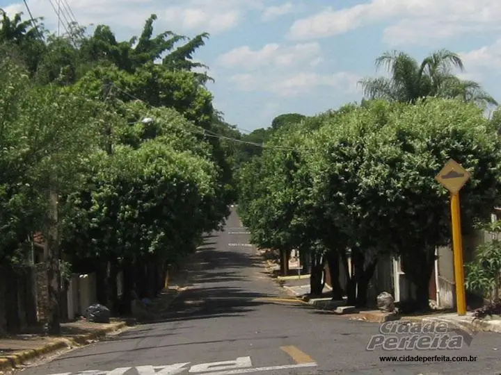 Avenida Max Wirth, Osvaldo Cruz | Mapio.net