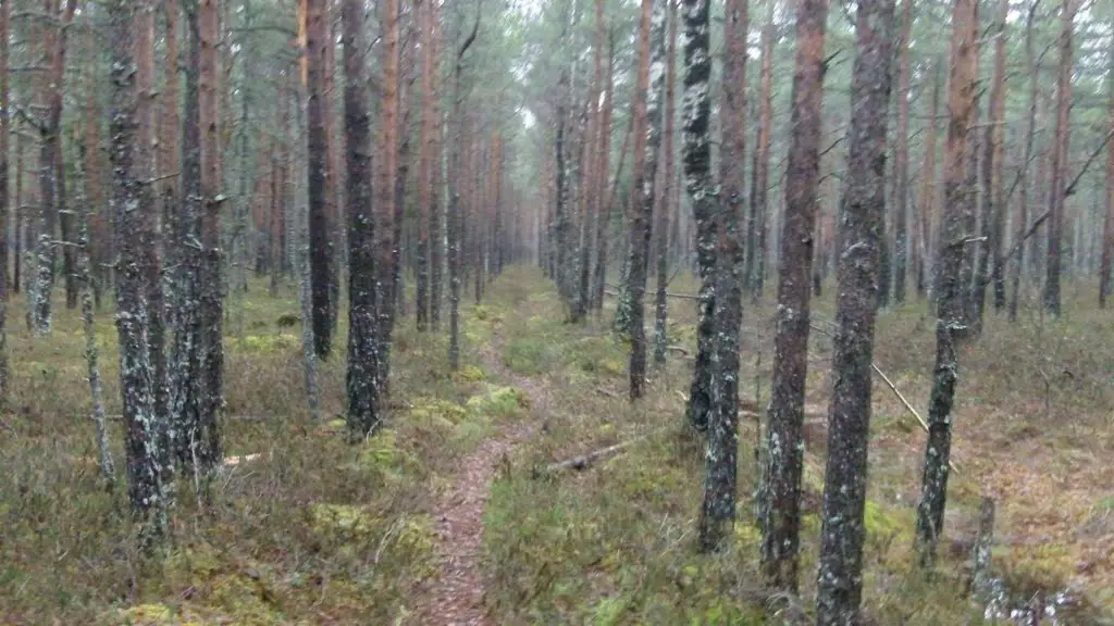 Paide, Järva County, Estonia