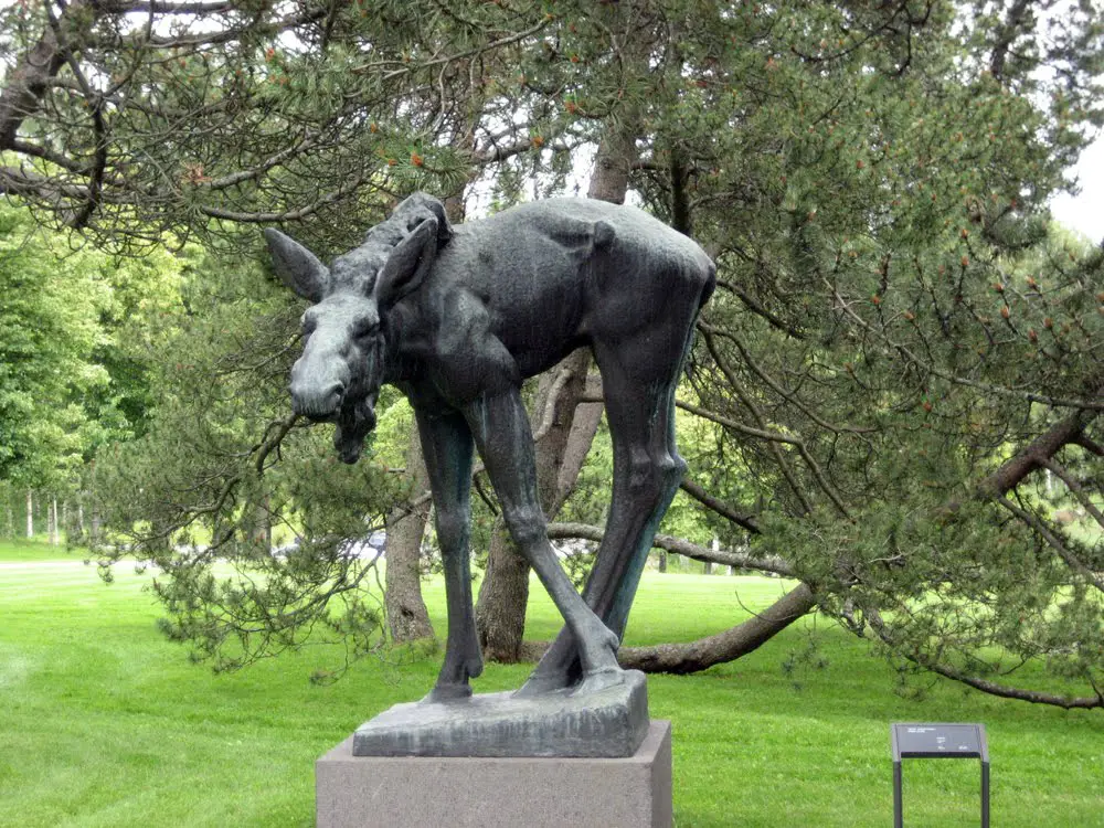 The elk by Jussi Mäntynen