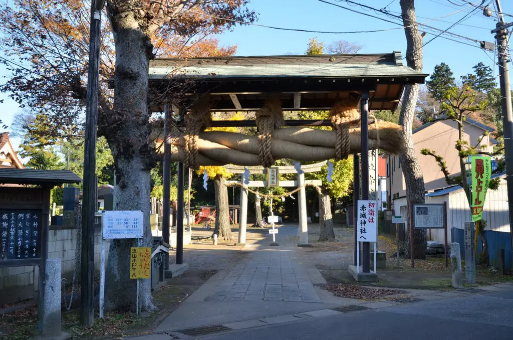 Akagi-Jinja  赤城神社  (2011.12.04)