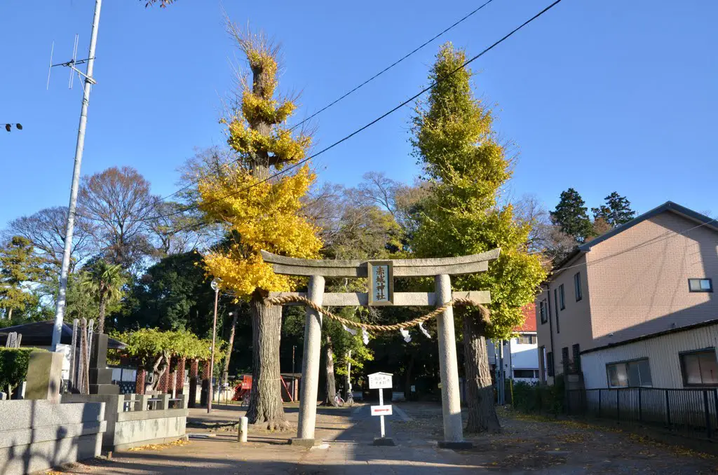 Akagi-Jinja  赤城神社  (2011.12.04)