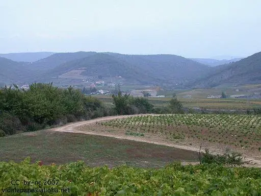 la vallée de la vigne