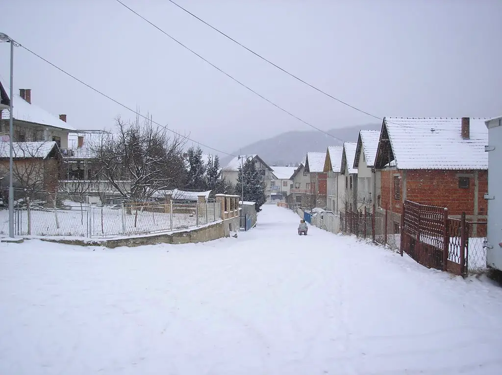 Ulica Milosa Musovica 2006