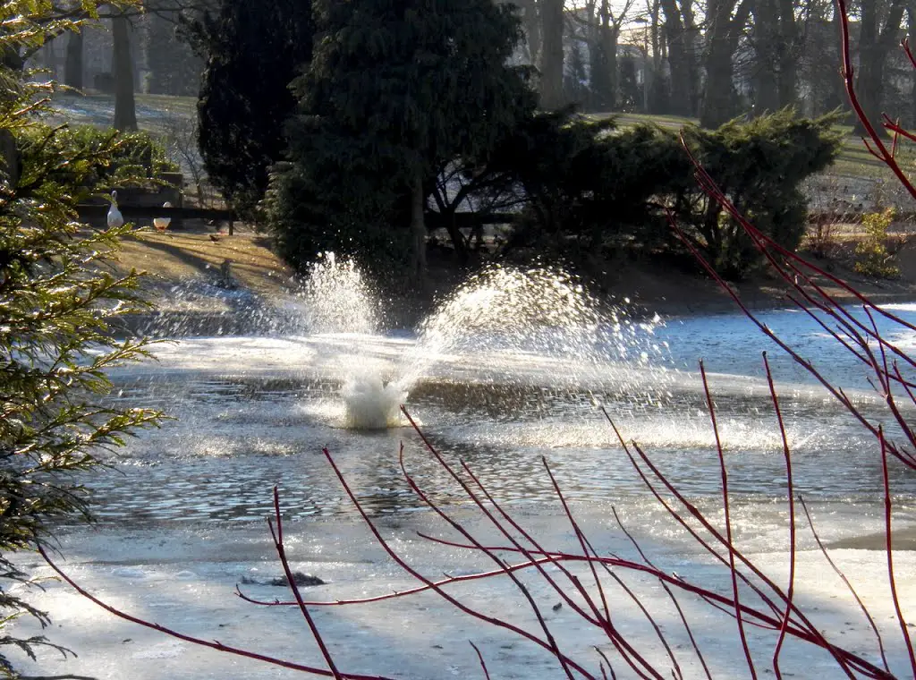 Mouscron - Parc municipal - Zoom sur le jet d'eau à la base gelée - 11/02/2012