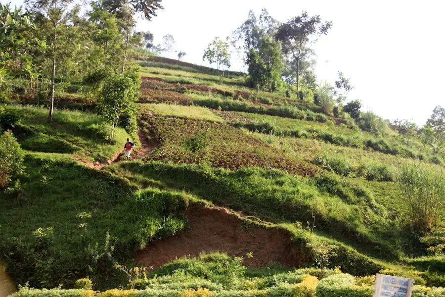 Ruhengeri, Rwanda 