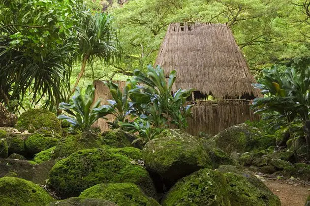 Pili Grass Huts In Waimea Valley A Botanical Garden Mapio Net