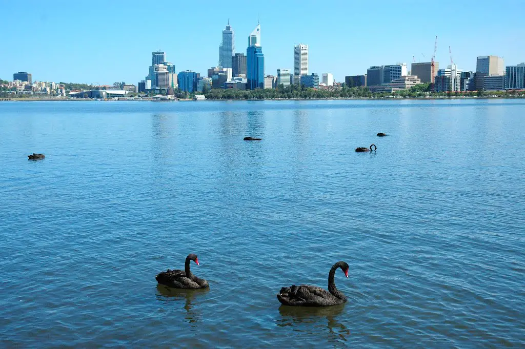 Swan river - Perth