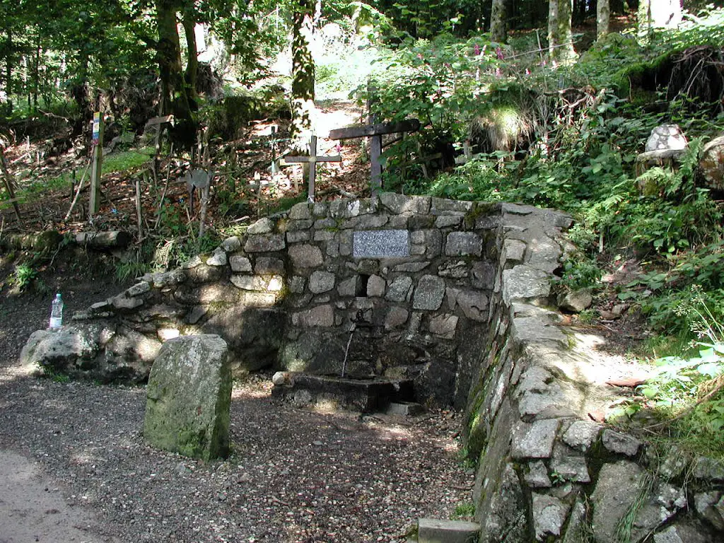 Source du Mont Saint Rigaud - Haut Beaujolais