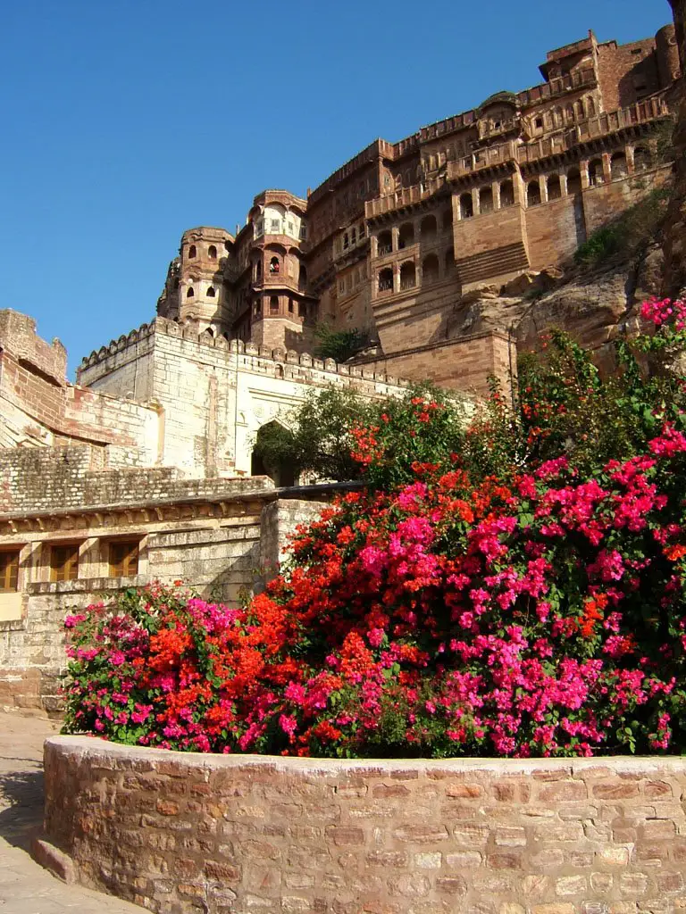Jodhpur-Meherangarh-Palace and Flowers