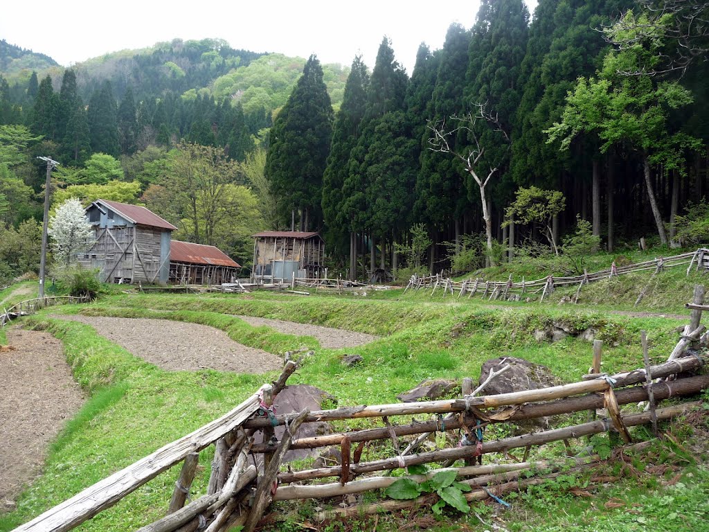山間の無住集落 熱田 香美町小代区 の春 Spring In Atsuta Ojiro A Mountainous Village With No Residents Mapio Net