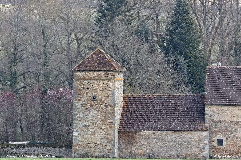 21 Voudenay-le-Château - Pigeonnier Château