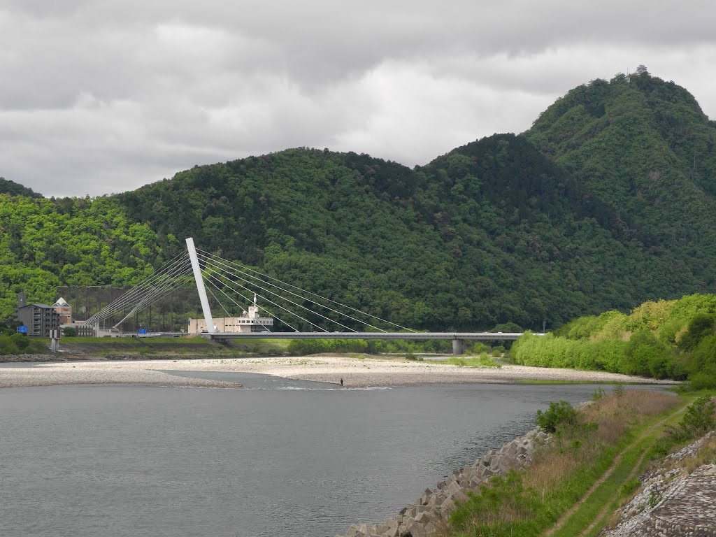 長良川鵜飼大橋と金華山方面 Mapio Net