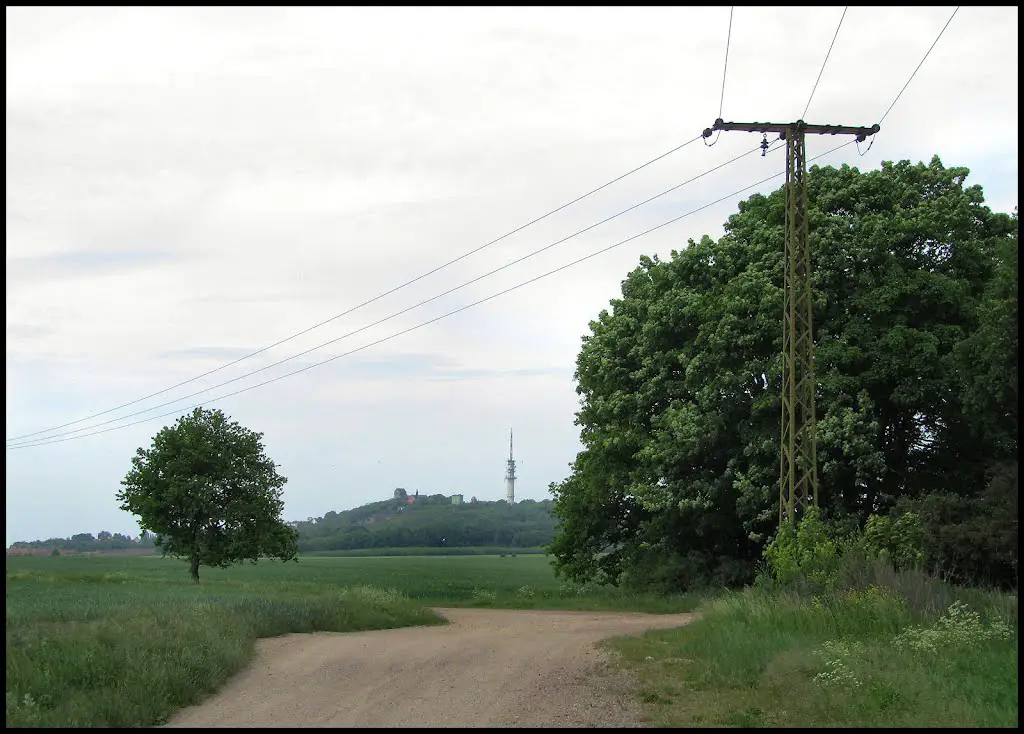 Strommast in der Nähe vom Petersberg