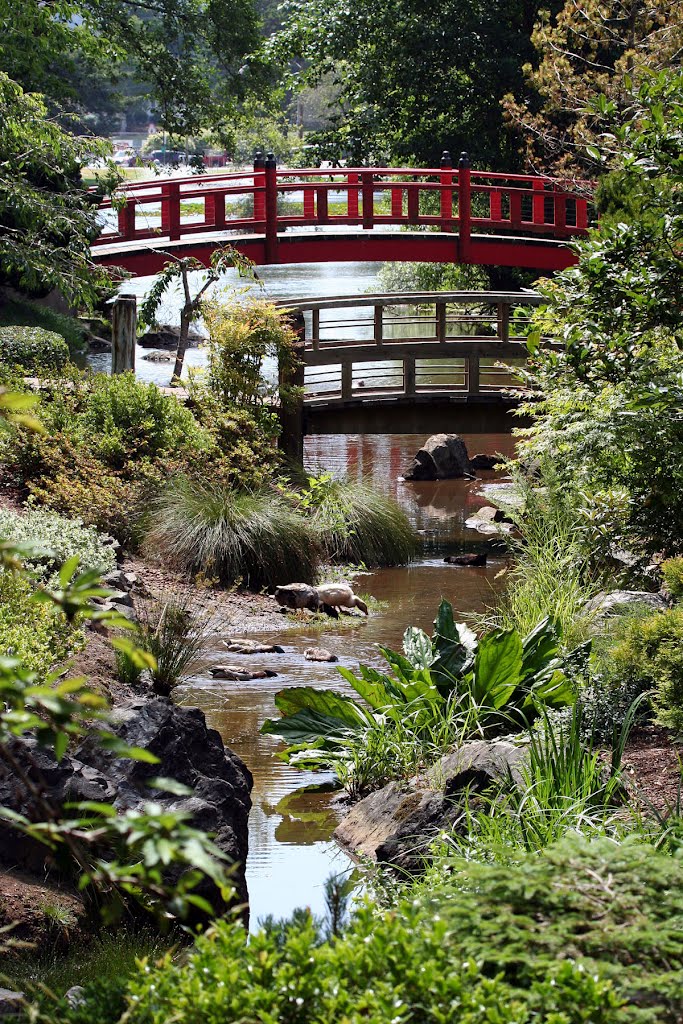 Mingus Park Choshi Gardens Morning Song Bridge Suz Mapio Net