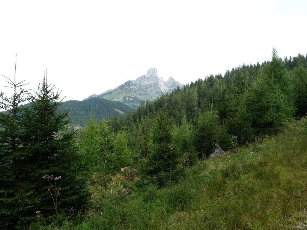Bischofsmütze 2.458 m - View from the way to Marcheggsattel, Filzmoos