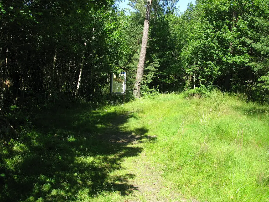 Sandsjöbackaleden trail west of Högsered, Västra Götaland, 2012