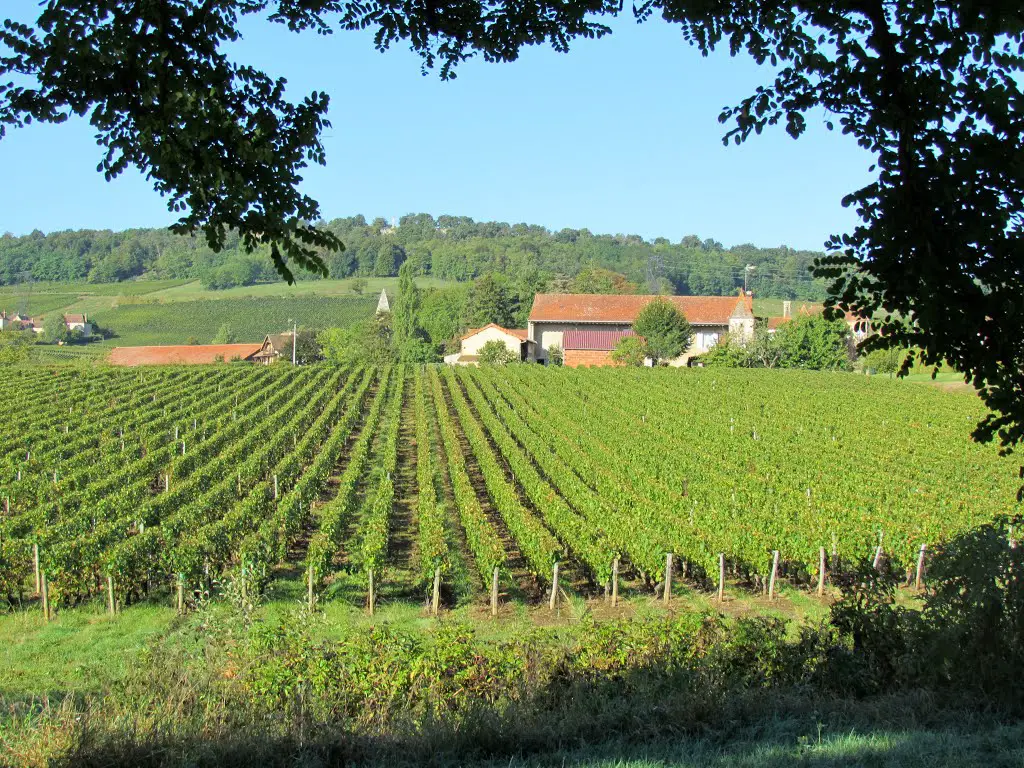 Vignoble du sud-Bourgogne (vue 3) # Saône-et-Loire (71) .