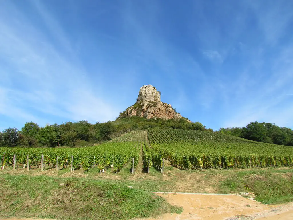 Vignes de l’appellation Pouilly-Fuissé et Roche de Solutré (vue 1) # Saône-et-Loire (71) .