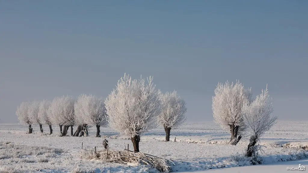 Winter landscape, Kinderdijk