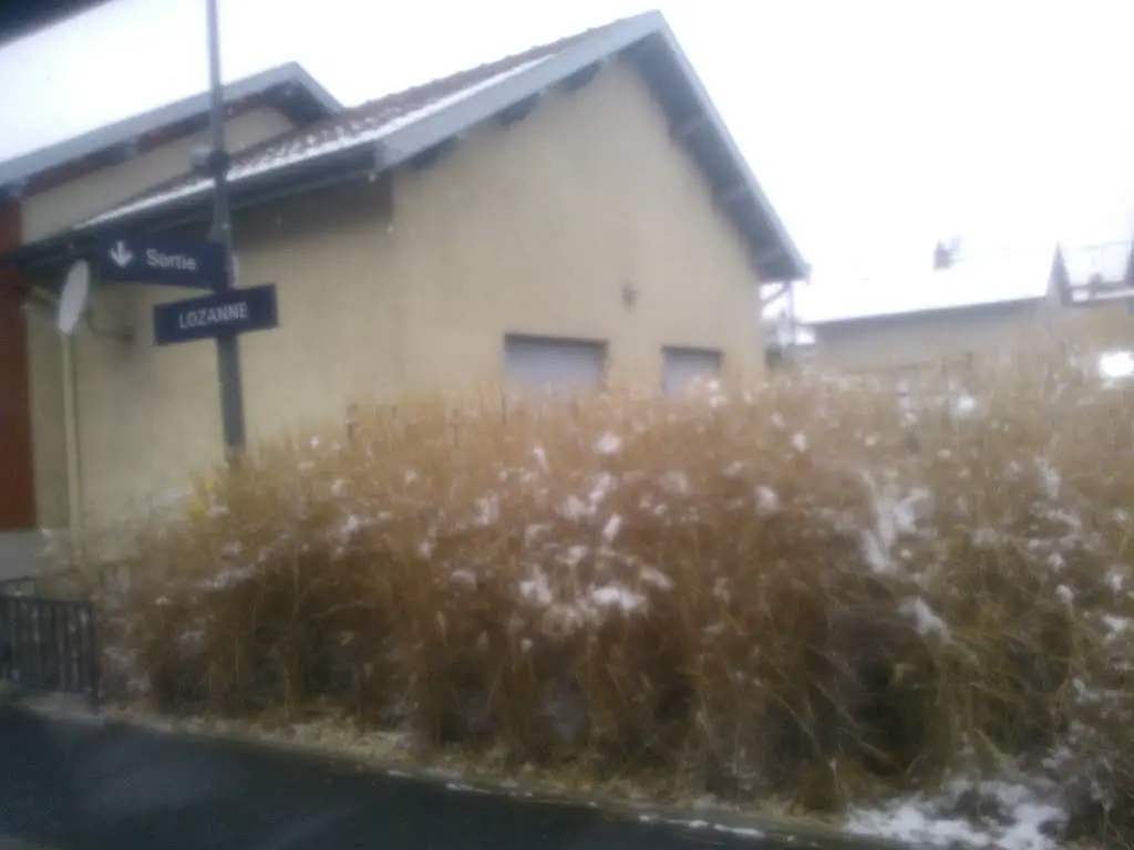 gare sncf de lozanne  sous la neige