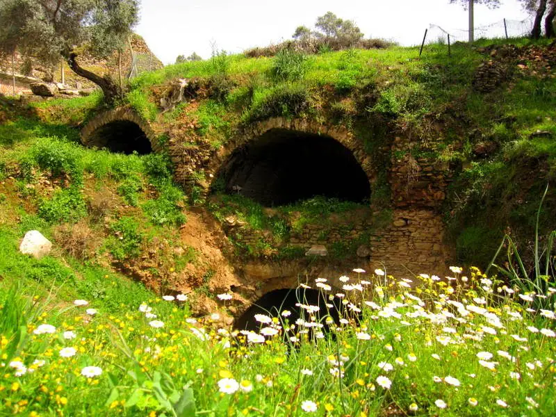 Papatyalar ve tarihi köprü, Nysa antik kent
