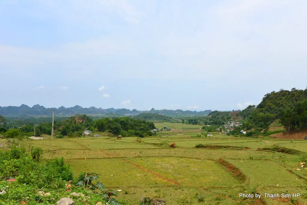 Phong cảnh Mộc Châu, Sơn La 