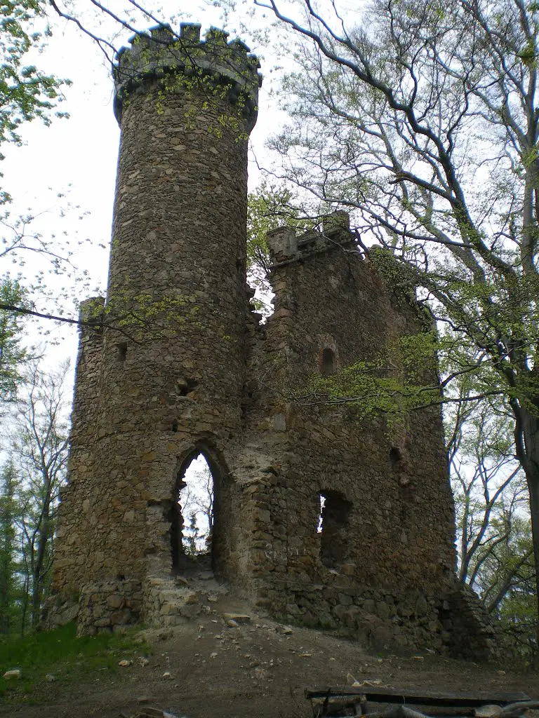 Ruiny zamku Księcia Henryka