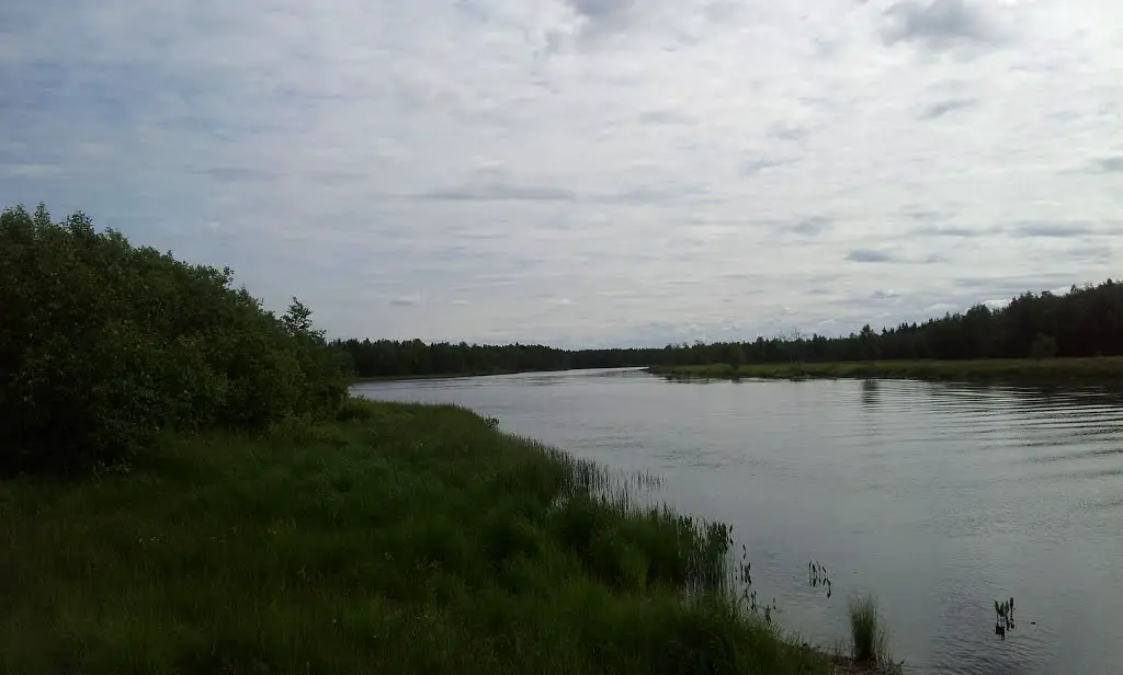 P река Juurikkajarvi