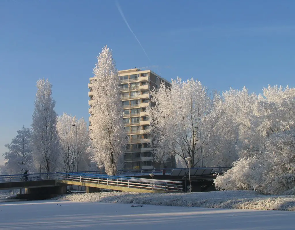 Winter in Zoetermeer