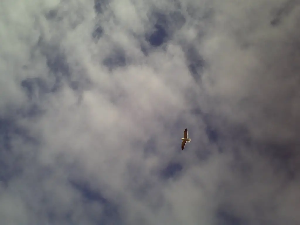 Volando En El Cielo Terrazas De Quinquelles Mapio Net