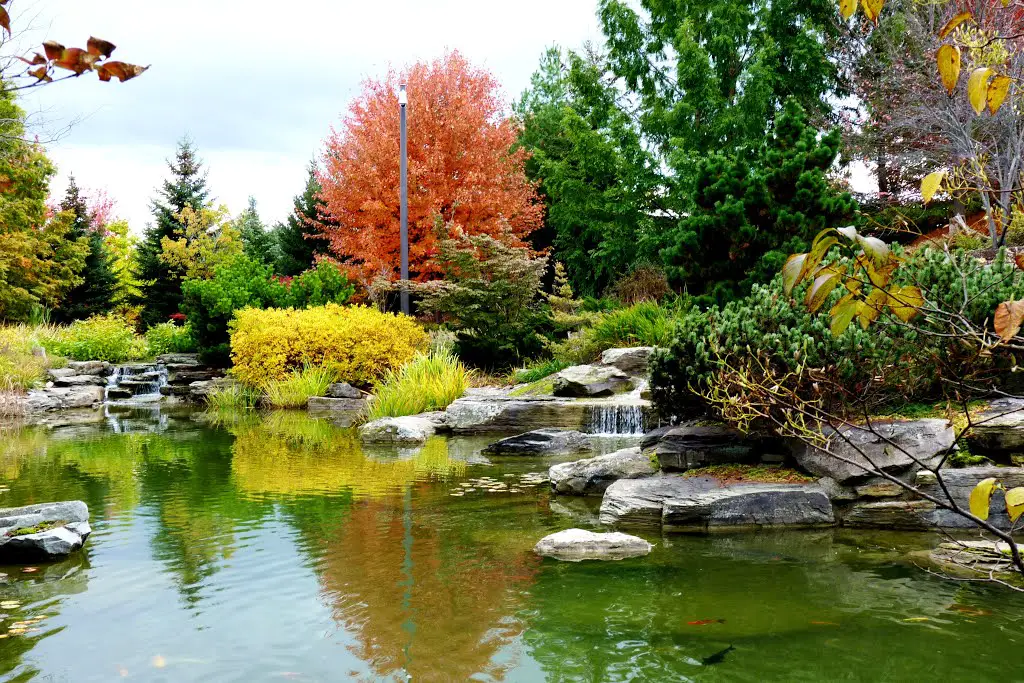 Frederik Meijer Gardens Sculpture Park In Autumn Grand Rapids